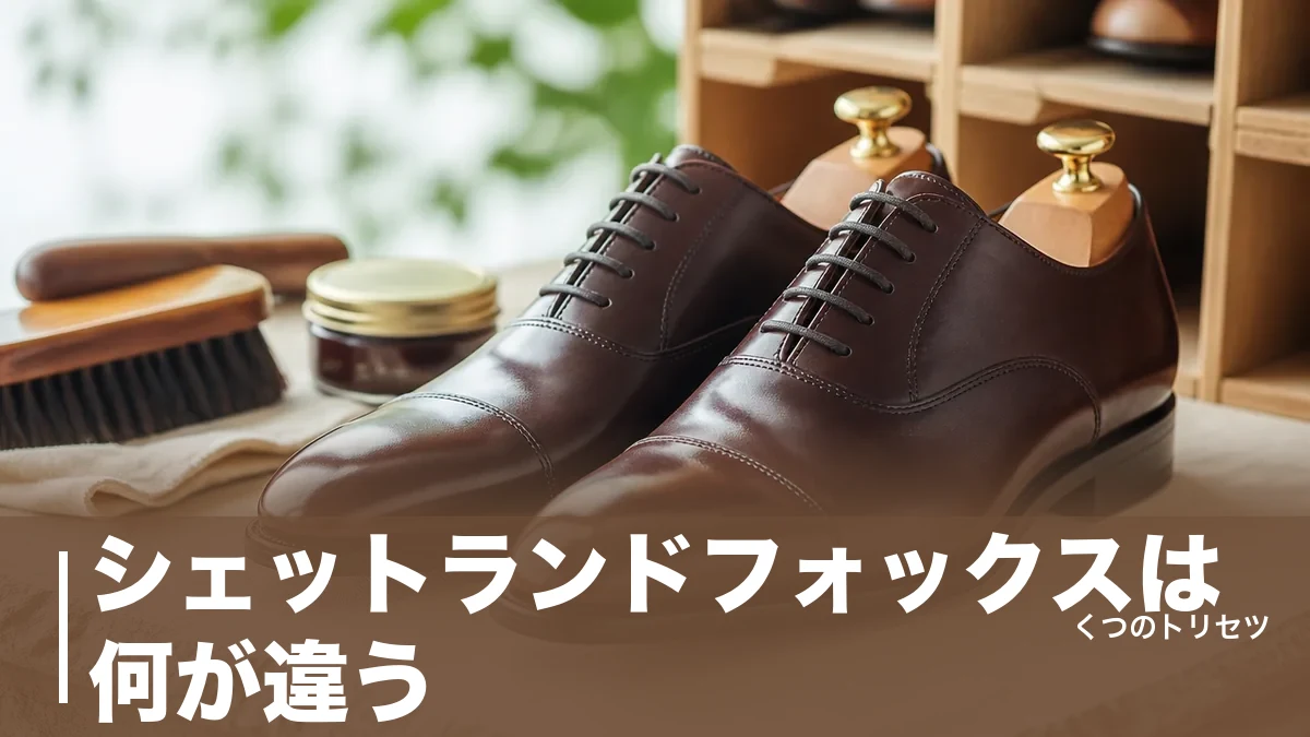 シェットランドフォックスは何が違う？59,400円から選べる現行モデルとサイズ表記の正解のアイキャッチ画像