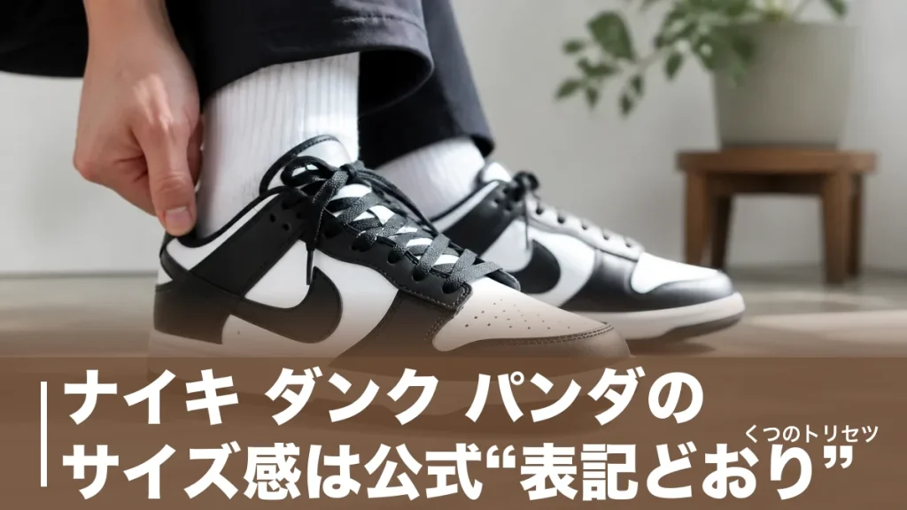 ナイキ ダンク パンダのサイズ感は公式“表記どおり”｜幅広だけ0.5cm上げる理由のアイキャッチ画像